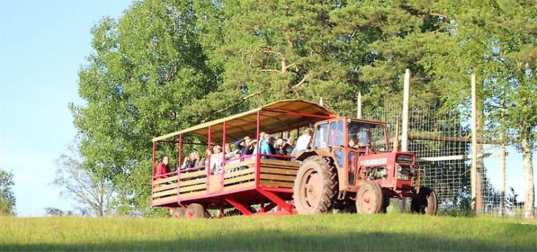 Safarivagn i Skullaryd