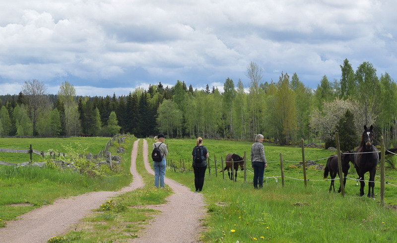 Hästhage längs Emilleden