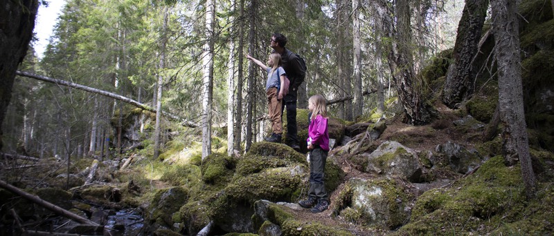 Barn som går Skurugata