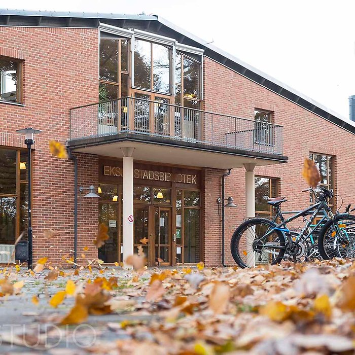 Höstlöv utanför Eksjö stadsbibliotek