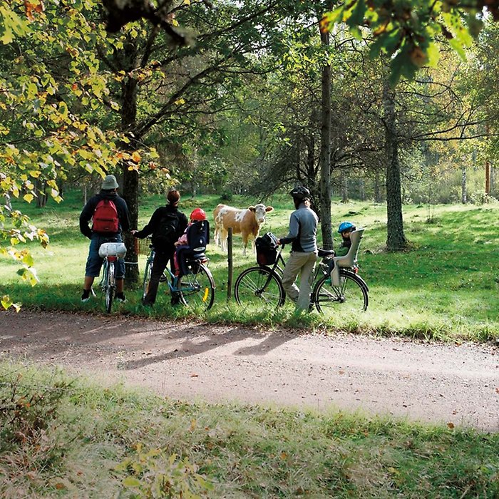 Människor på cykeltur