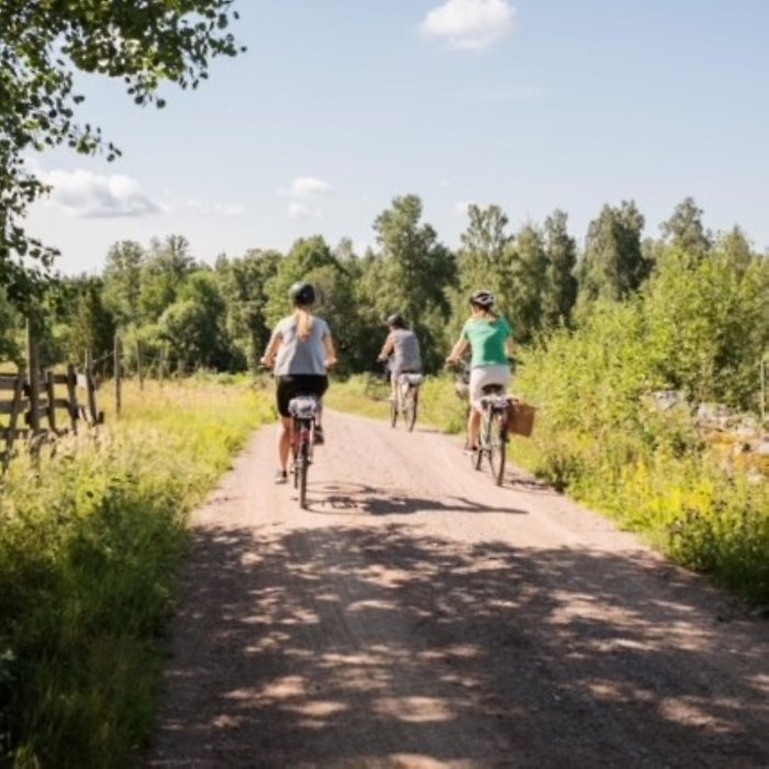 folk som cyklar på en landsväg